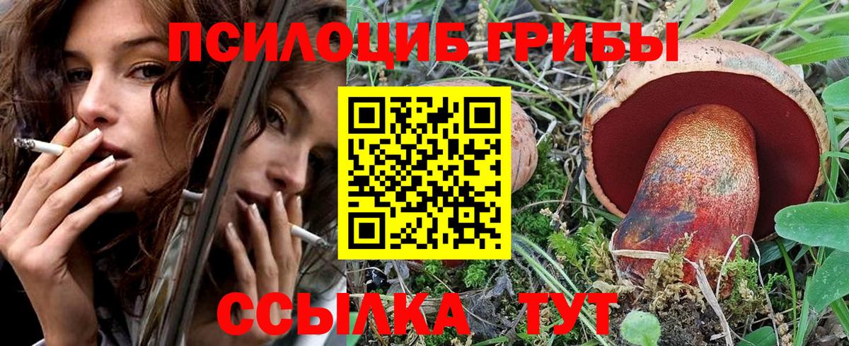 Псилоцибиновые грибы Magic Shrooms  Вход с VPN  где продают наркотики  Россия 