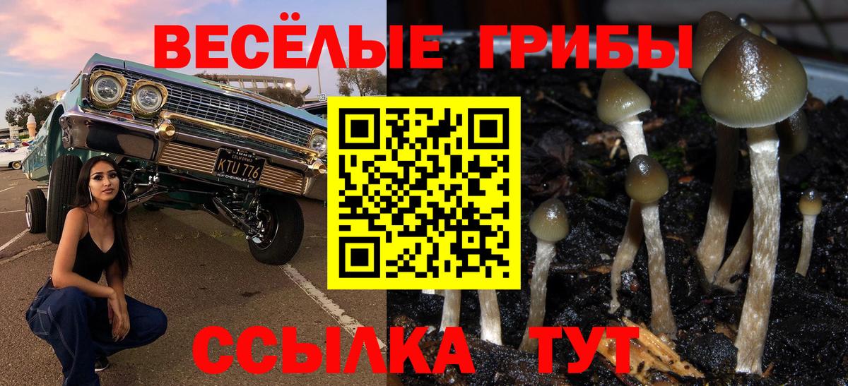 Галлюциногенные грибы мицелий Россия